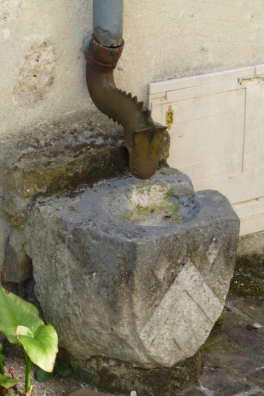 P10719_redimensionner