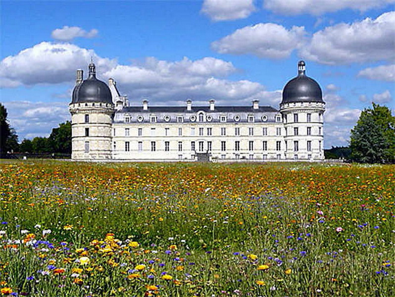 P10731_redimensionner