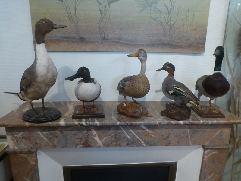 P10743_redimensionner