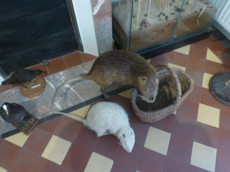 P10744_redimensionner