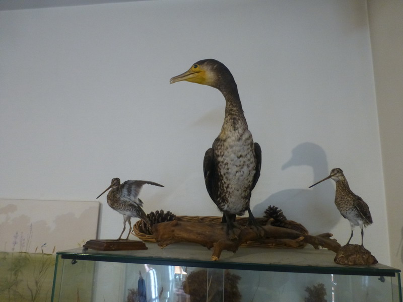 P10745_redimensionner