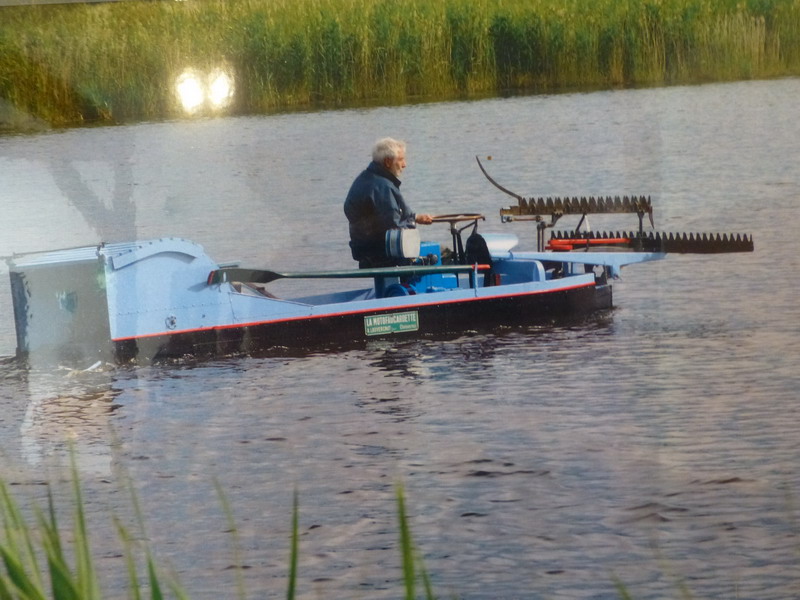 P10746_redimensionner