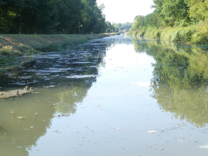 P10754_redimensionner