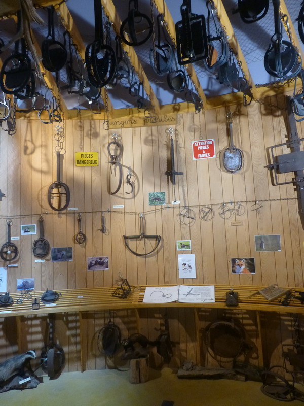 P10761_redimensionner