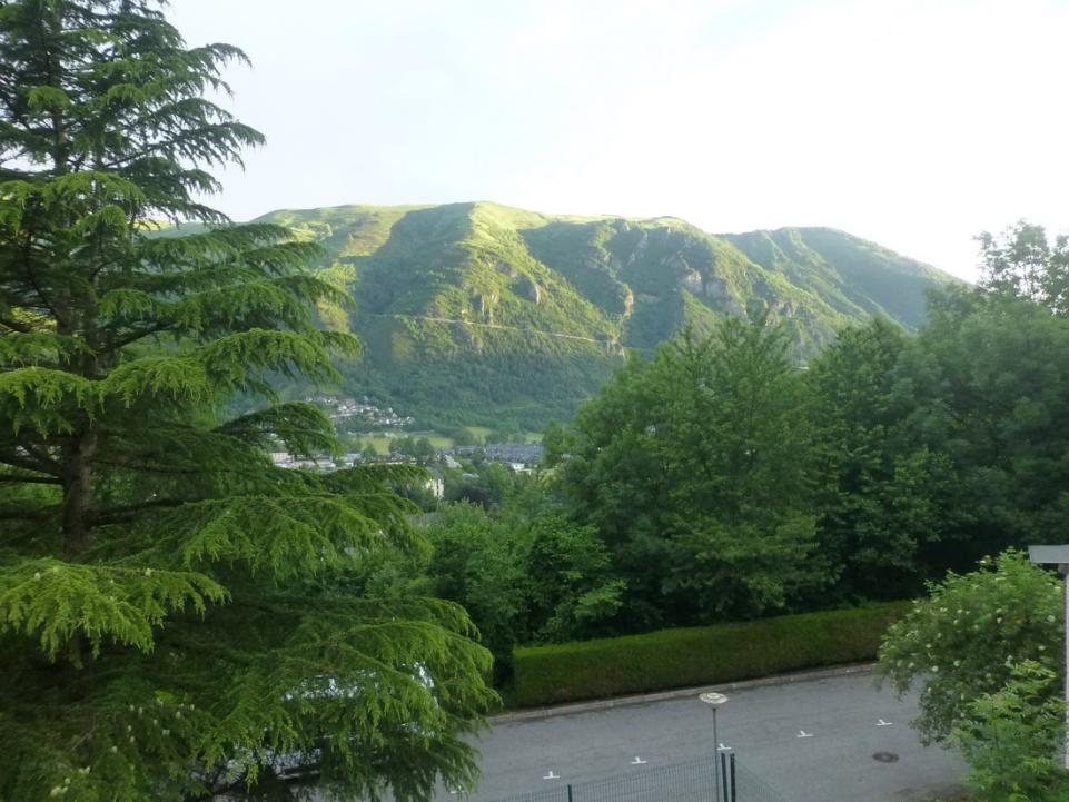 P1060977_redimensionner