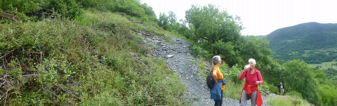 P1060992_redimensionner