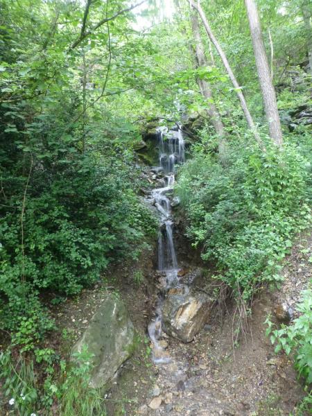 P1060997_redimensionner