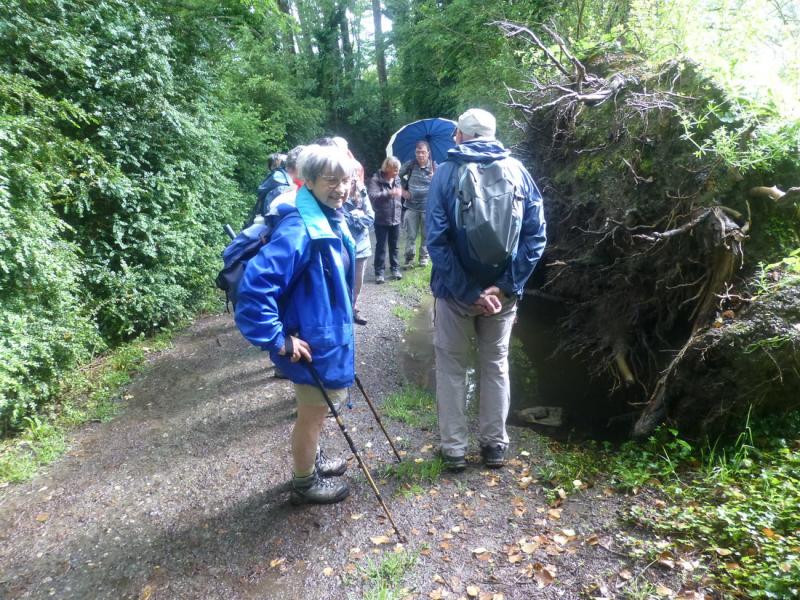 P1061014_redimensionner