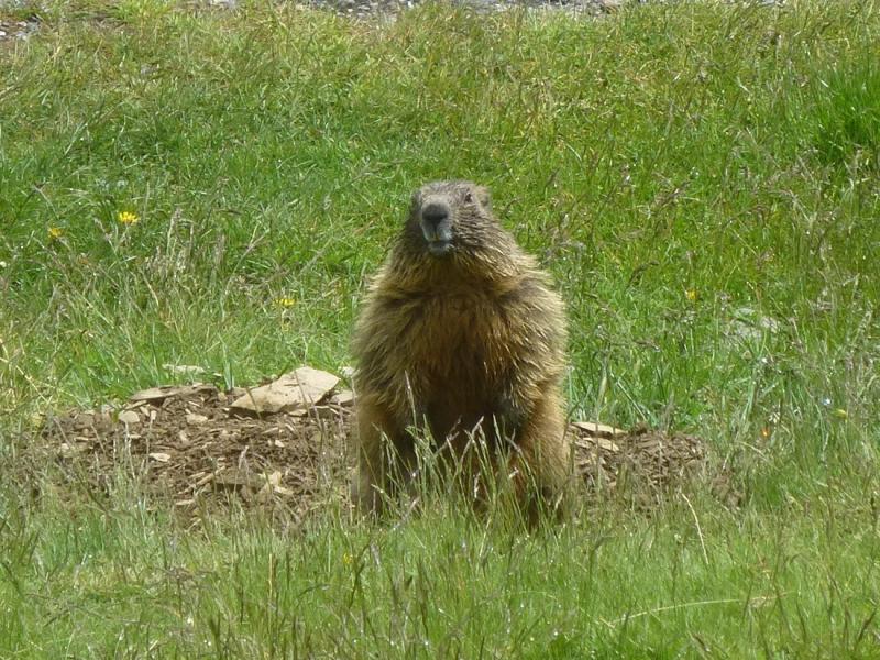 P1061060_redimensionner