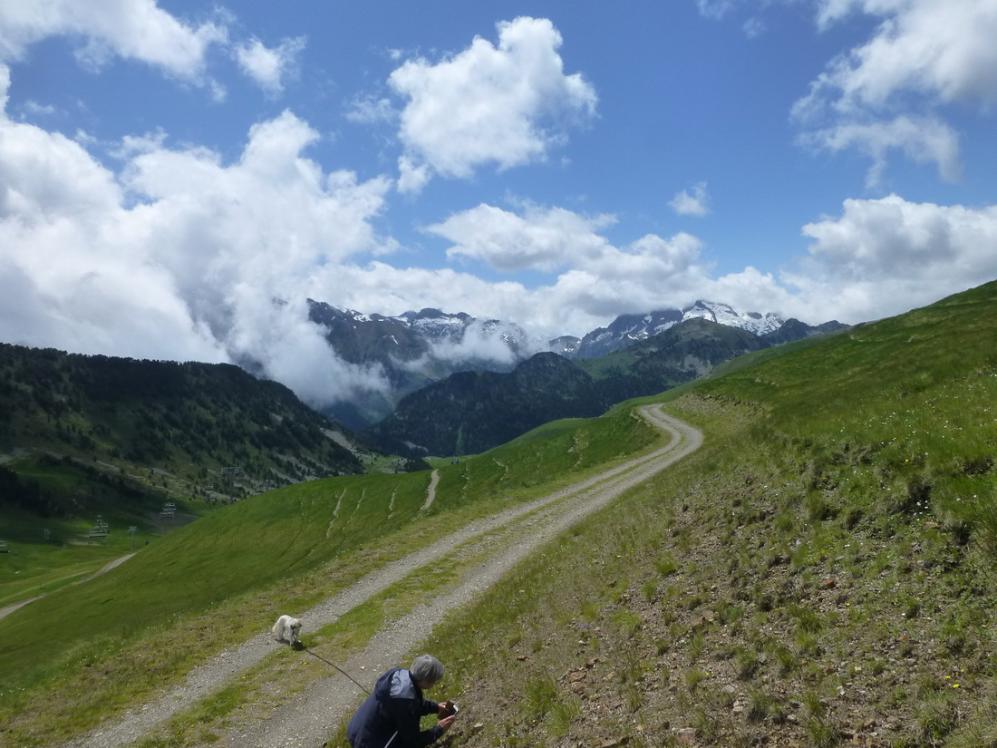 P1061062_redimensionner