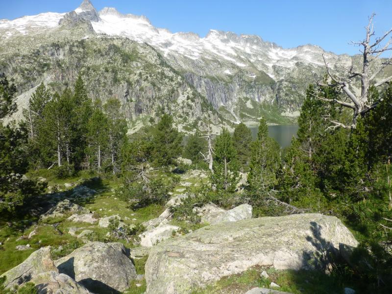 P1061066_redimensionner