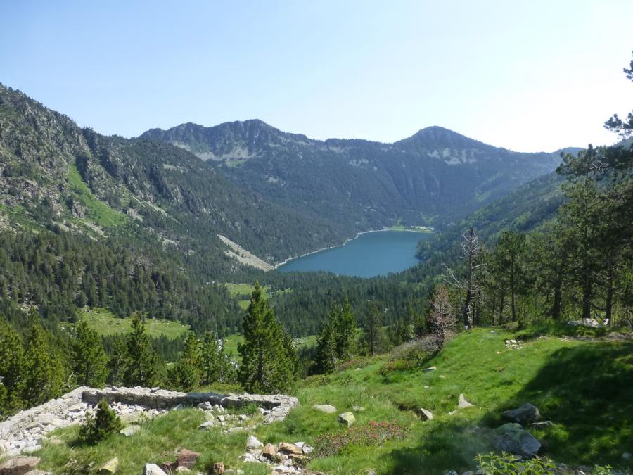 P1061080_redimensionner