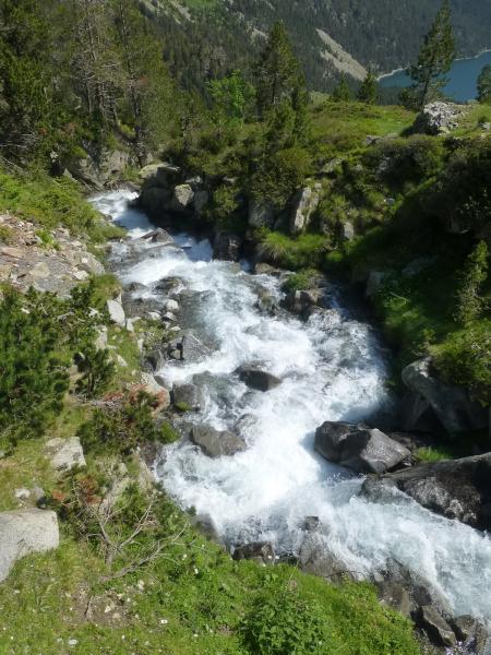 P1061081_redimensionner