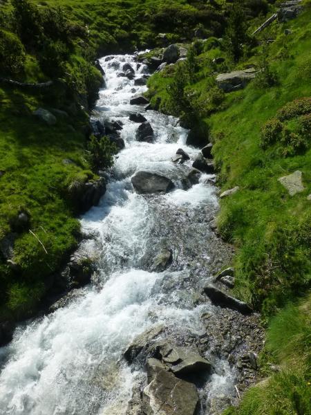 P1061082_redimensionner