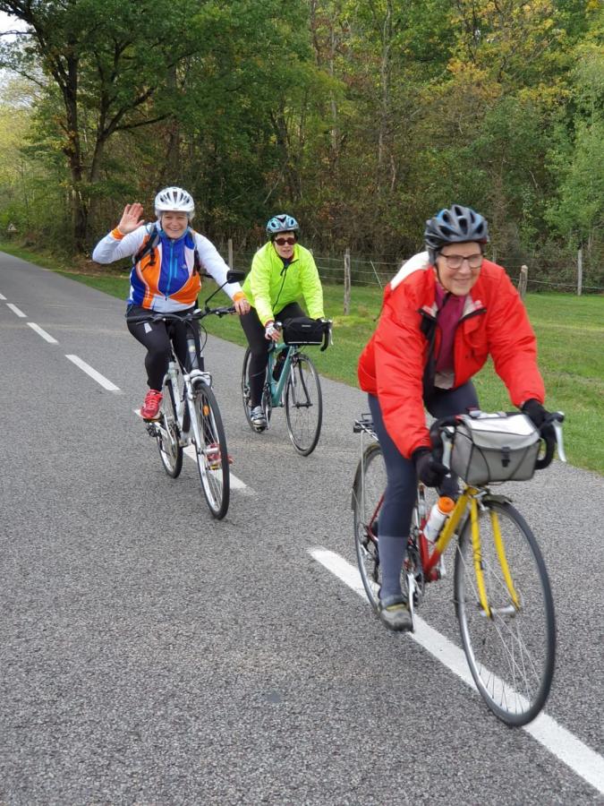 IMG-20201017-WA0007.