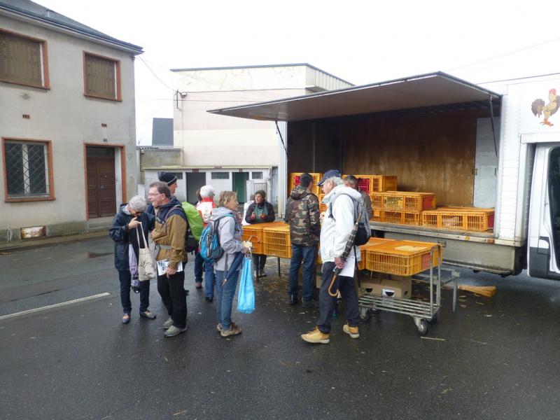 P1050823_redimensionner