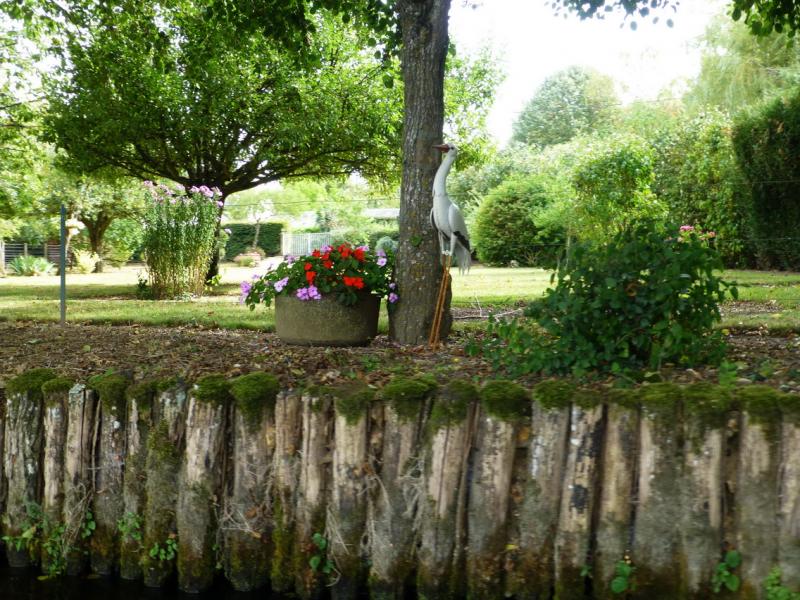 P1050867_redimensionner